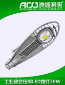 工业级镂空压铸LED路灯30W